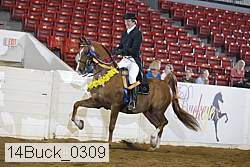 14buck_0309 proof