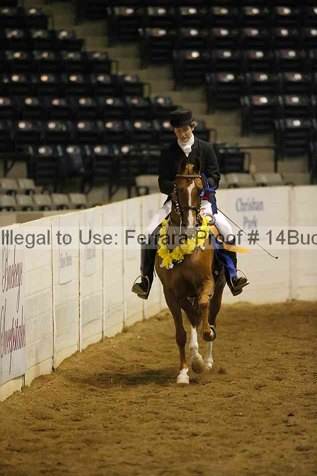 Proof 14buck_0310