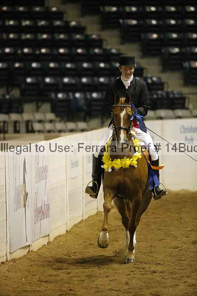 Proof 14buck_0311