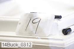 14buck_0312 proof