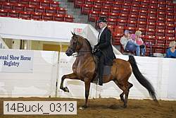 14buck_0313 proof