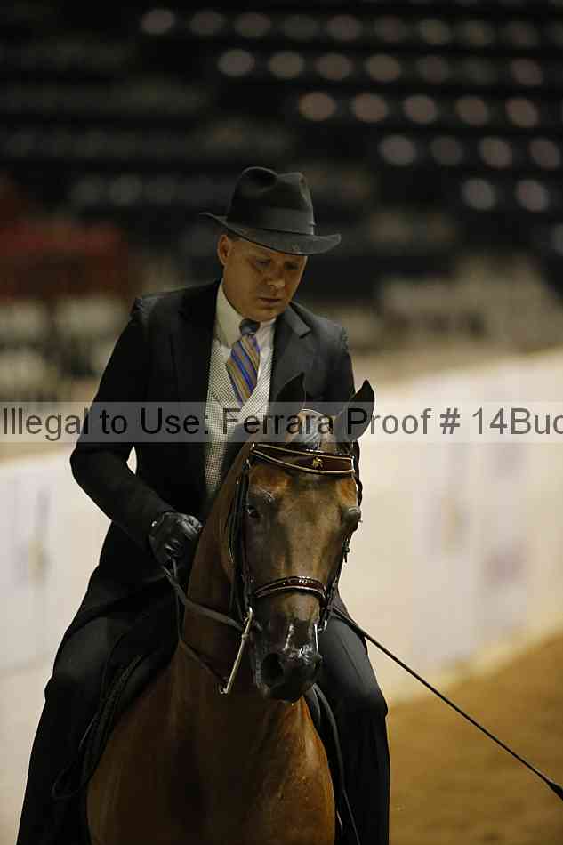 Proof 14buck_0315
