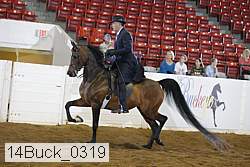 14buck_0319 proof