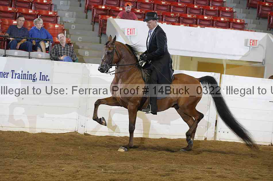 Proof 14buck_0322