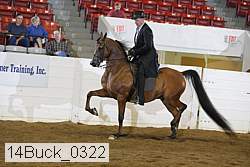 14buck_0322 proof