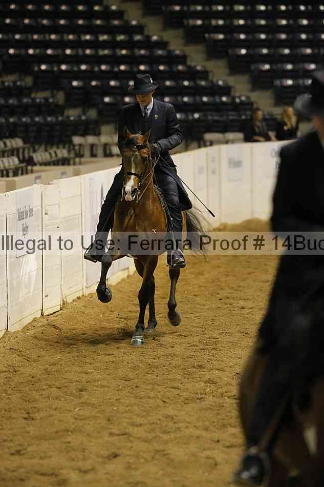 Proof 14buck_0323