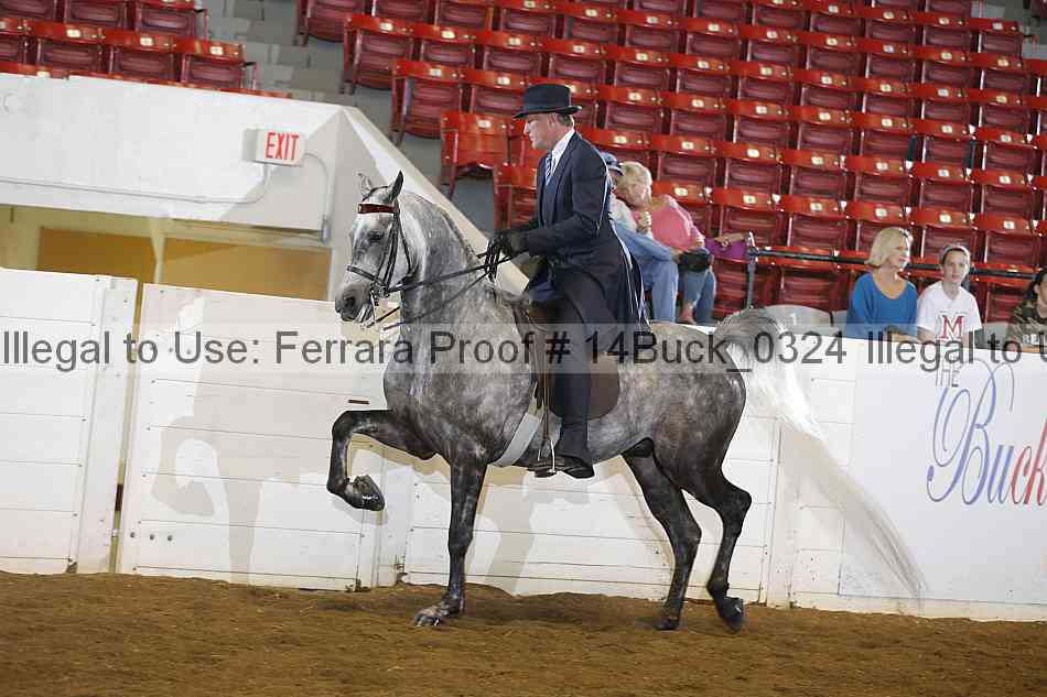 Proof 14buck_0324