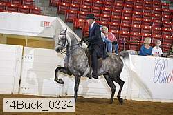 14buck_0324 proof