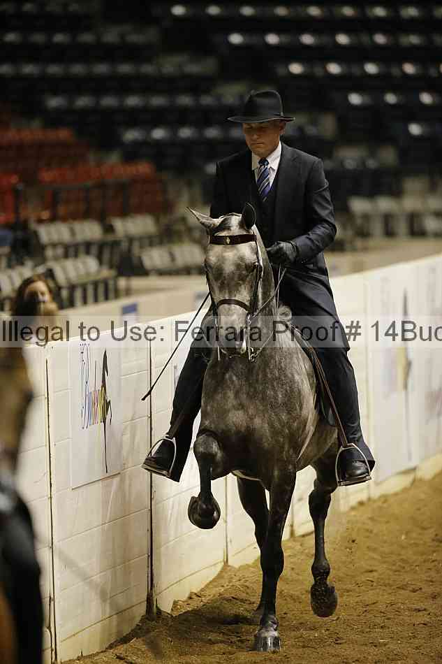 Proof 14buck_0326