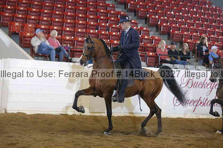 Proof 14buck_0327