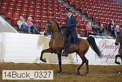 14buck_0327 proof