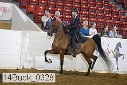 14buck_0328 proof