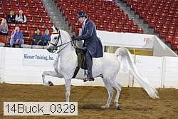 14buck_0329 proof