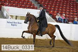 14buck_0331 proof