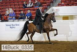 14buck_0335 proof