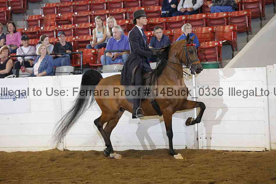 Proof 14buck_0336