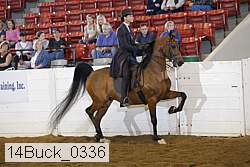 14buck_0336 proof