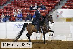 14buck_0337 proof