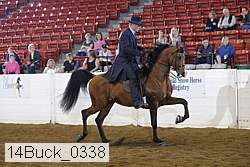 14buck_0338 proof