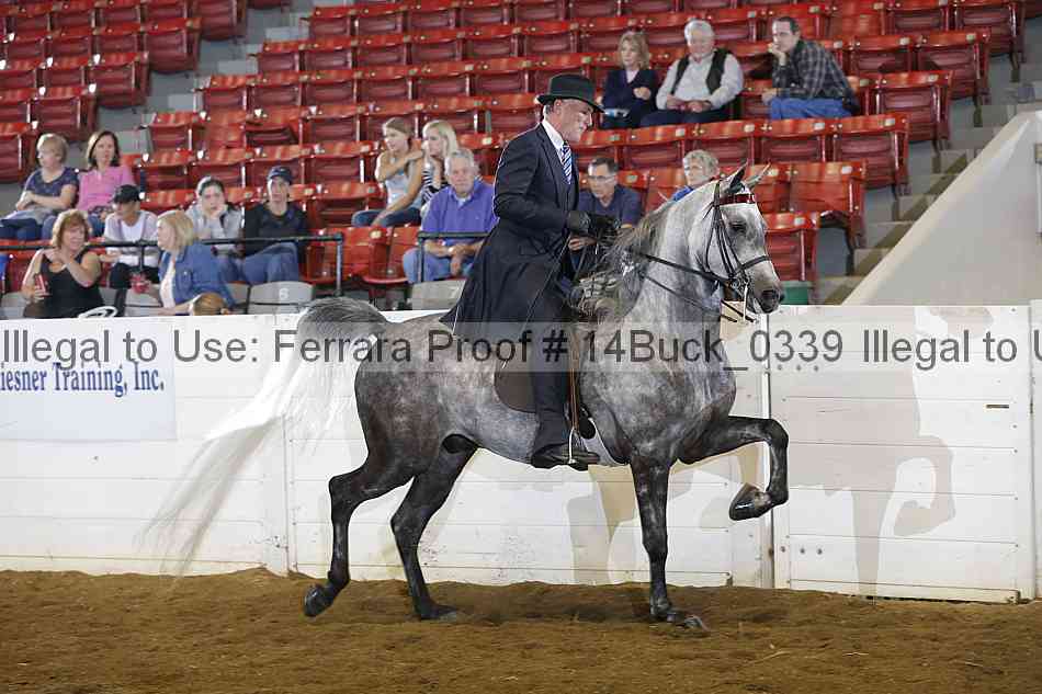 Proof 14buck_0339