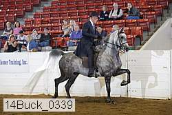 14buck_0339 proof