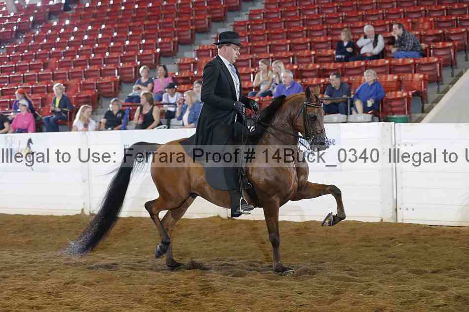 Proof 14buck_0340