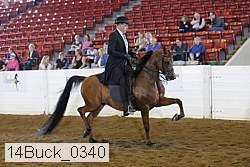 14buck_0340 proof