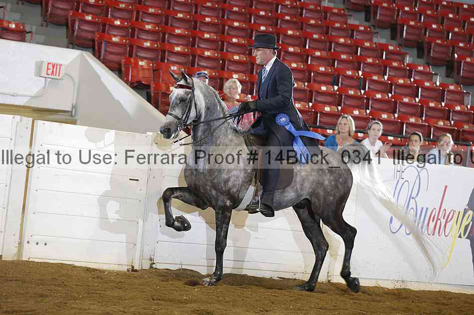 Proof 14buck_0341