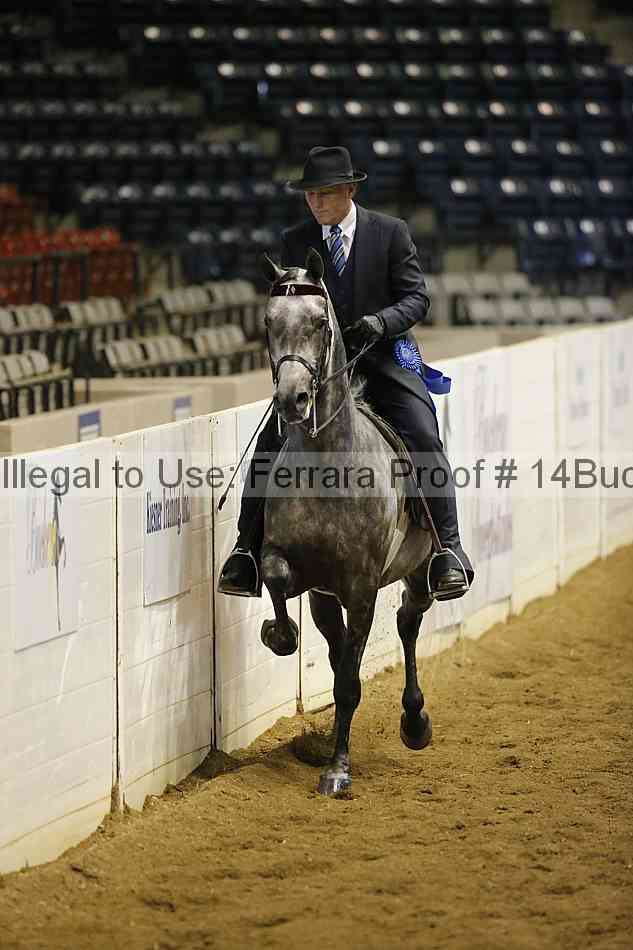 Proof 14buck_0344