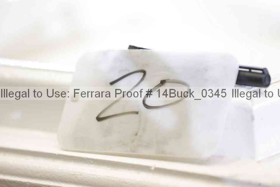 Proof 14buck_0345