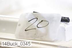 14buck_0345 proof