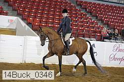 14buck_0346 proof
