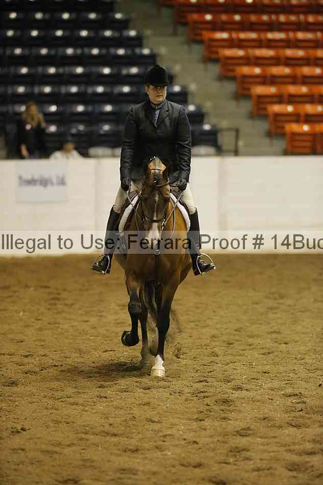 Proof 14buck_0347