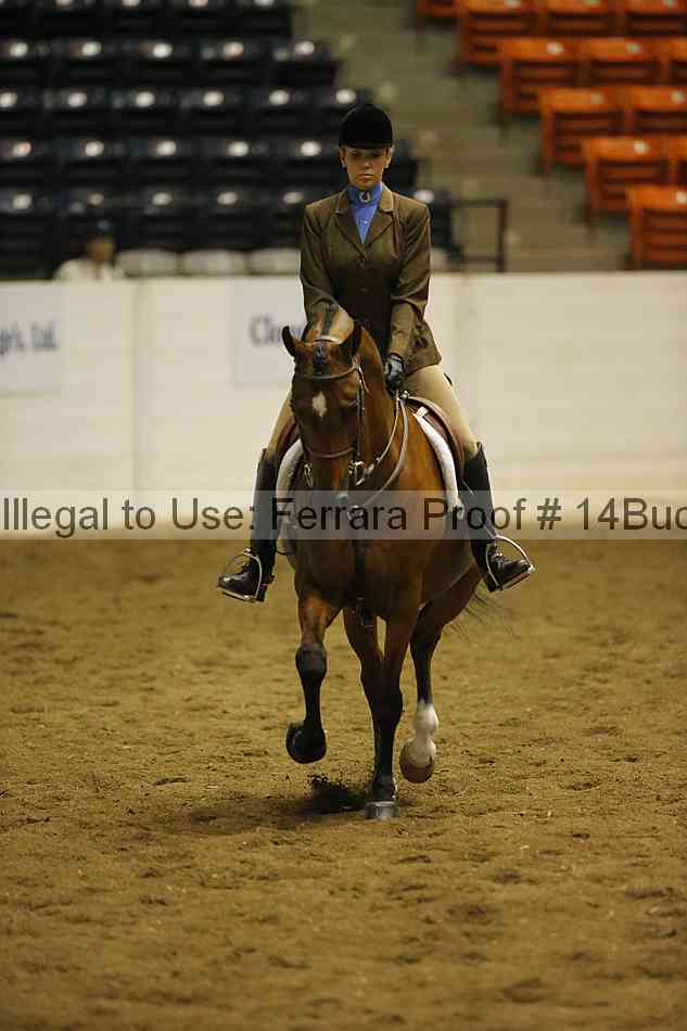 Proof 14buck_0349