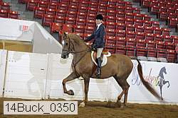 14buck_0350 proof