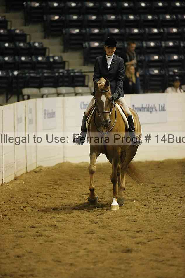 Proof 14buck_0351