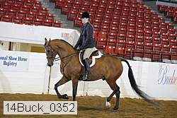 14buck_0352 proof