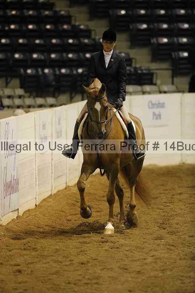 Proof 14buck_0353