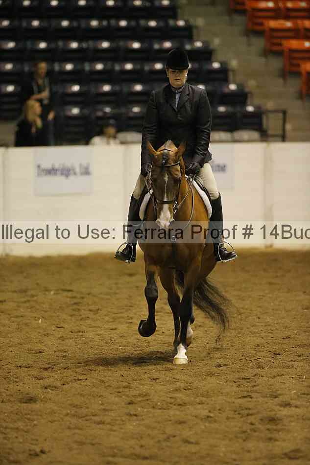 Proof 14buck_0354