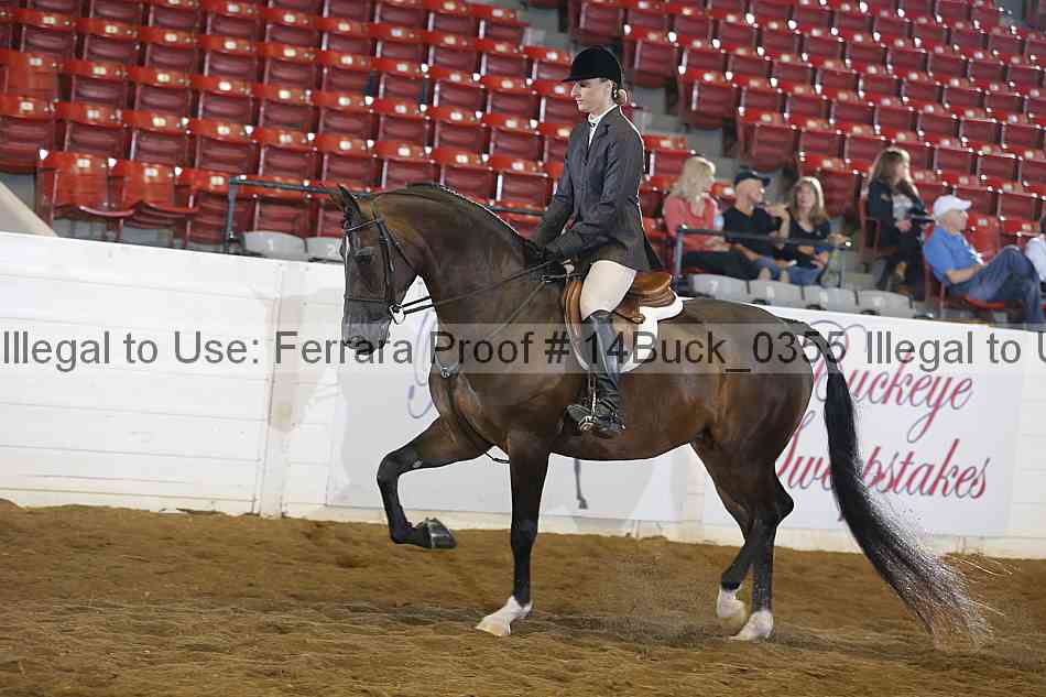 Proof 14buck_0355