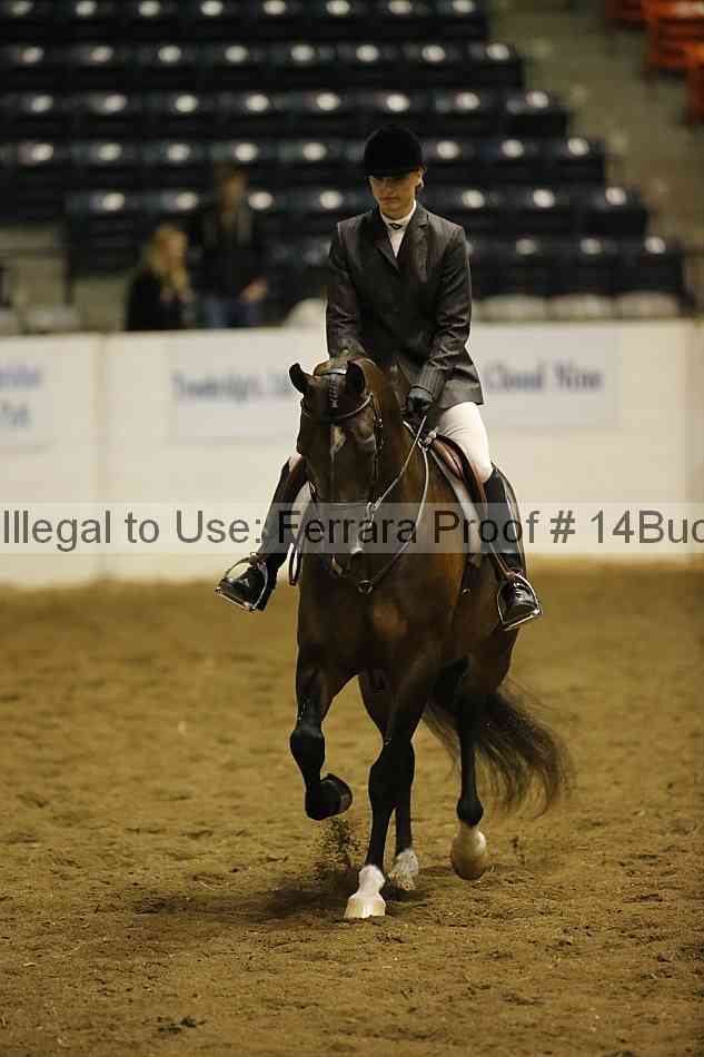 Proof 14buck_0356