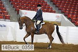 14buck_0358 proof
