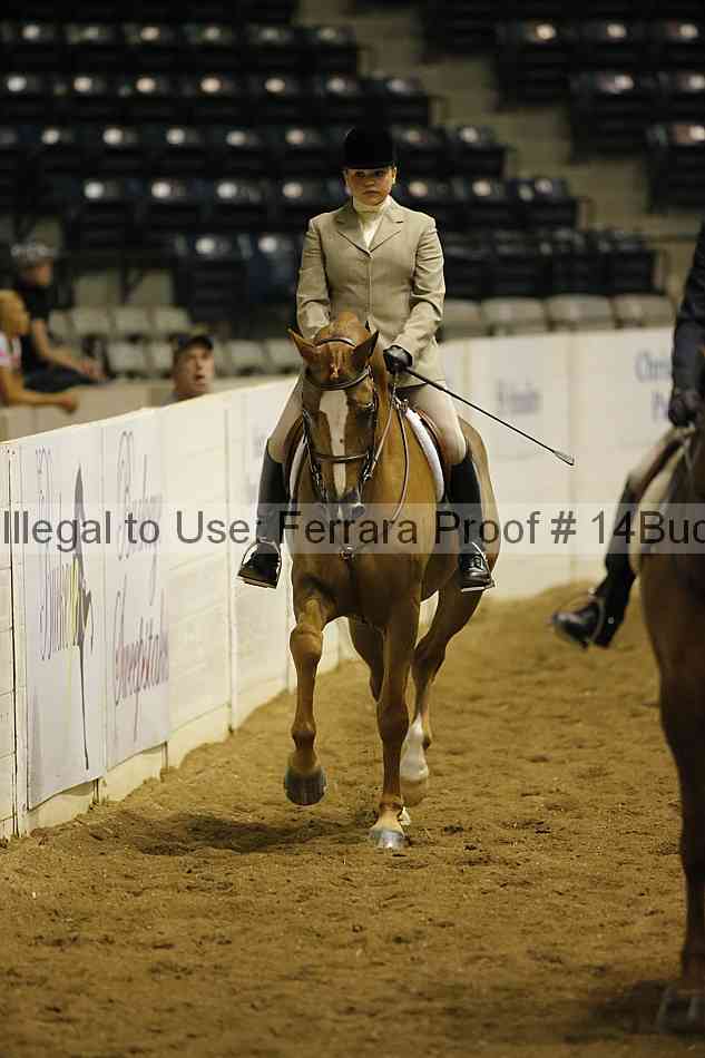 Proof 14buck_0362