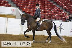 14buck_0363 proof