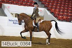 14buck_0364 proof
