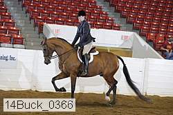 14buck_0366 proof