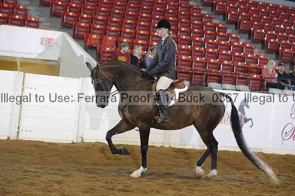 Proof 14buck_0367