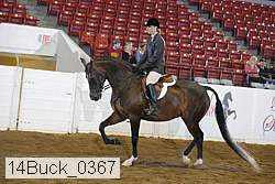 14buck_0367 proof