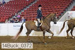 14buck_0372 proof