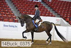 14buck_0375 proof